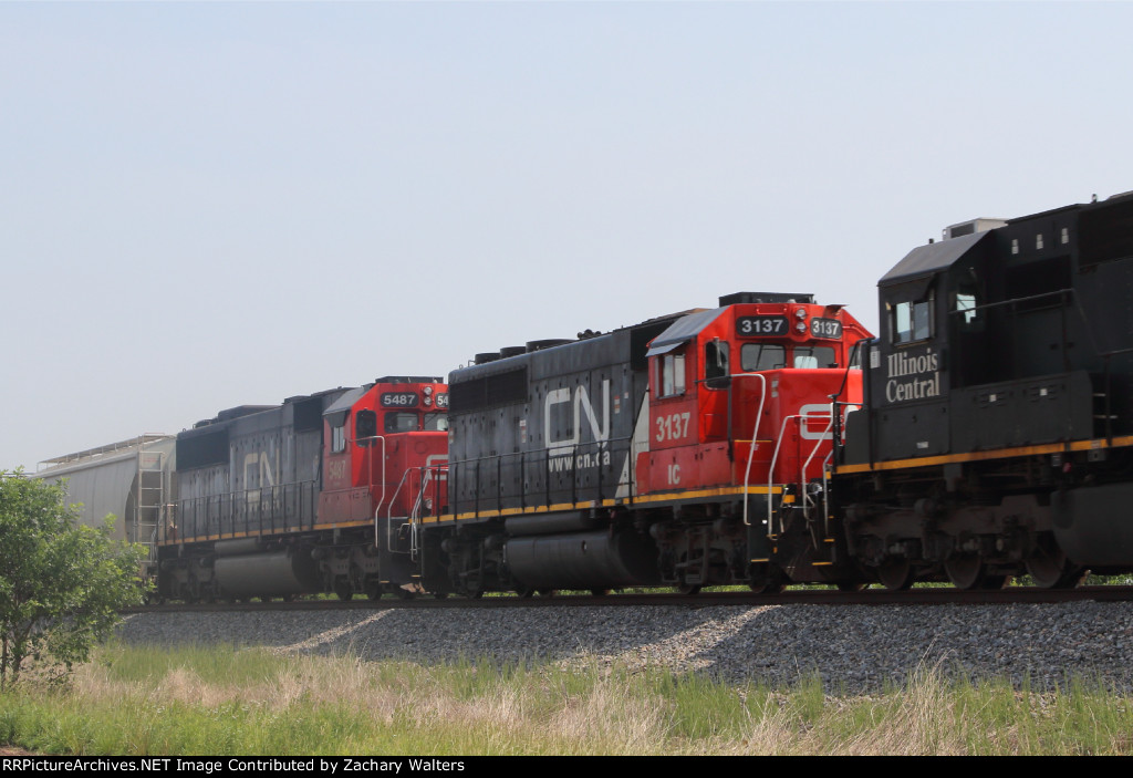 IC 3137 CN 5487
